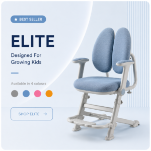 Elite Ergonomic Chair